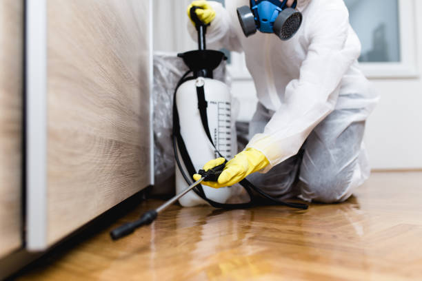 Best Flea Control Services  in Ammon, ID