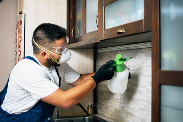 Best Residential Pest Control  in Ammon, ID