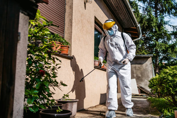 Best Bed Bug Extermination  in Ammon, ID