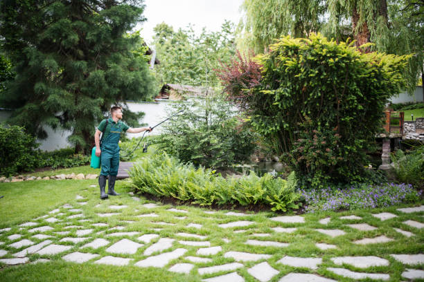 Best Wasp Removal Services  in Ammon, ID