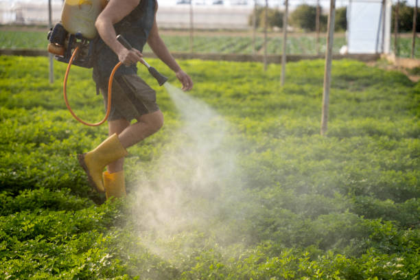 Best Affordable Pest Control Services  in Ammon, ID