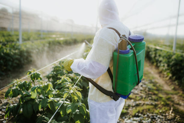 Best Ant Control Services  in Ammon, ID